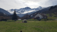 Le Cheval et le Ferrouillet